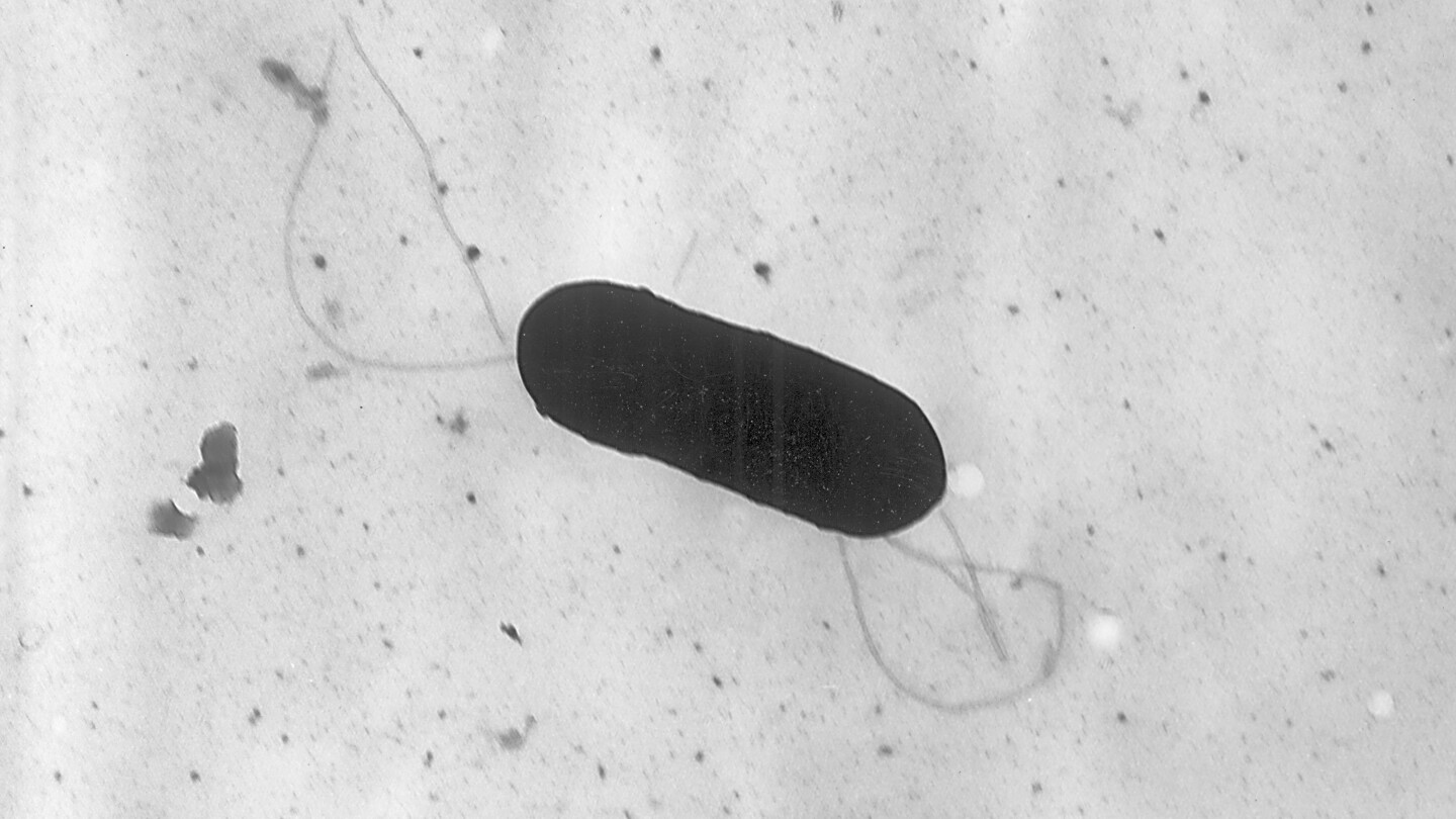 At least 10 people sickened in US listeria outbreak linked to prepared foods