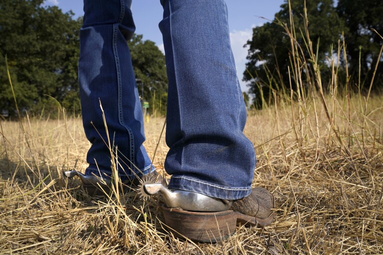 Gilda Jackson walks on a pasture on her property that she grows hay on in Paradise, Texas, Monday, Aug. 21, 2022. (AP Photo/Tony Gutierrez)