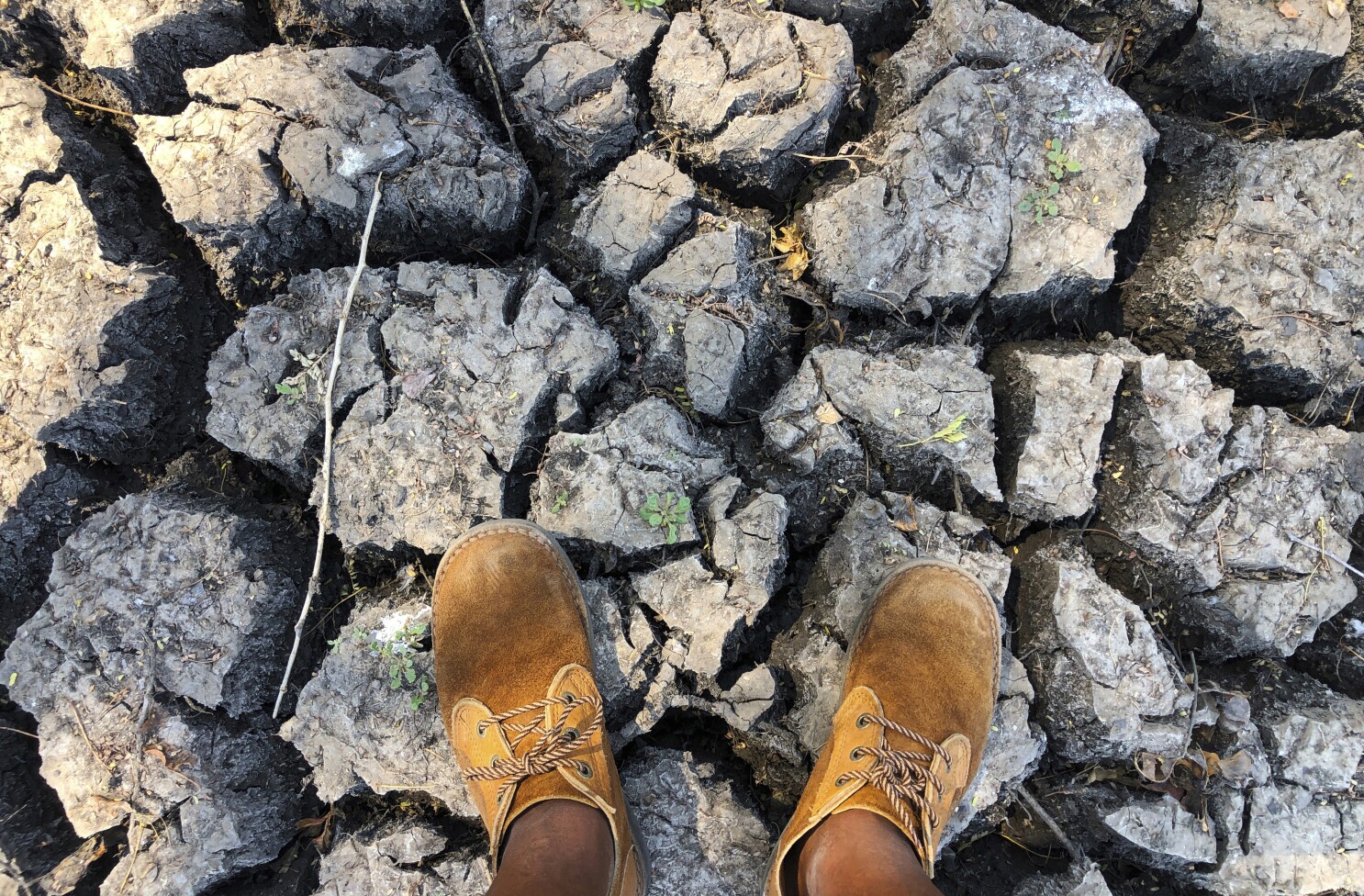 El Niño: Southern Africa is enduring its worst hunger crisis in decades
