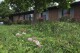 Flowers and tall grass cover the lawn of Amanda Beltramini Healan in Nashville, Tenn., Monday, May 19, 2025, who participates in No Mow Months to improve water retention and encourage pollinators. (AP Photo/Kristin M. Hall)
