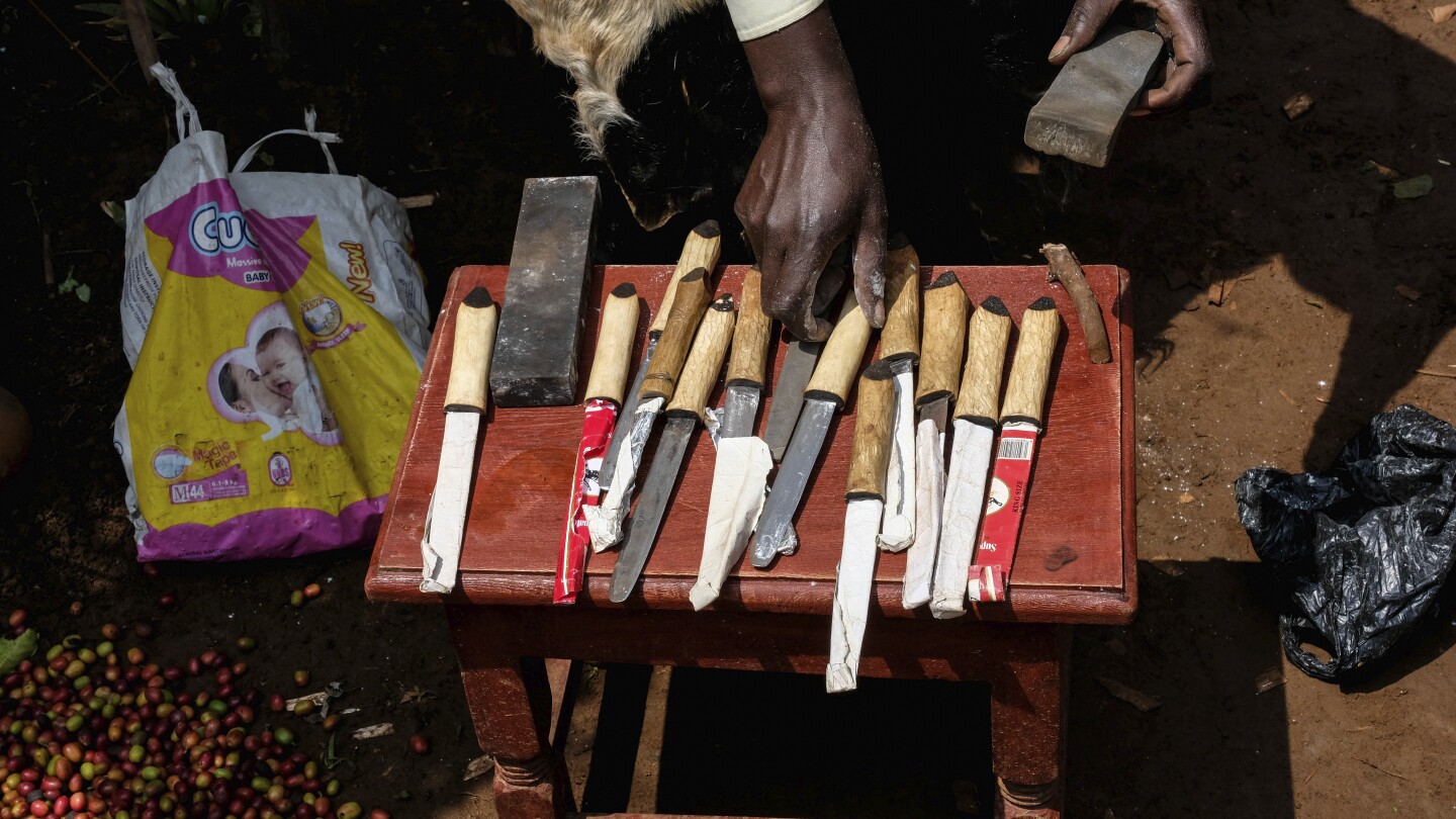 A mass circumcision is advertised to vacationers in a far flung space of Uganda. Some are angrily objecting