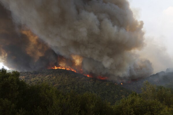 Wildfires raging in Europe: What, where and why?, Explainer News