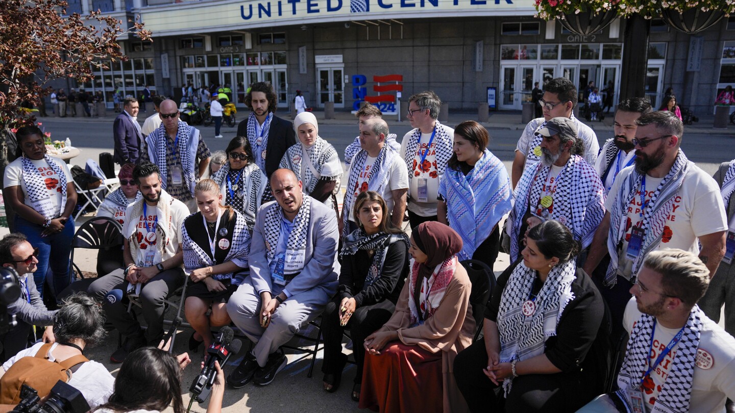 &#x27;The answer is no&#x27;: Pro-Palestinian delegates say their request for a speaker at DNC was shut down