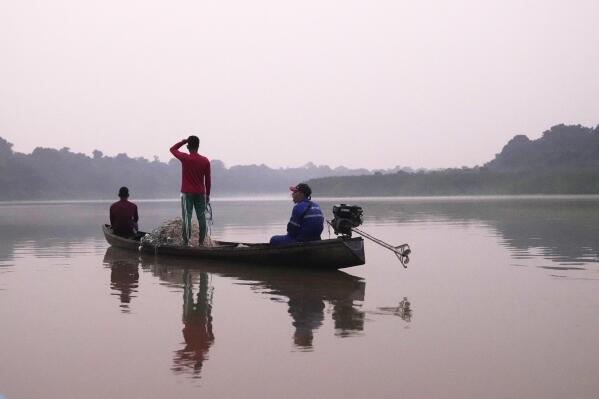 Fishermen look for pirarucu fishes at a lake in San Raimundo settlement, at Medio Jurua region, Amazonia State, Brazil, Monday, Sept. 5, 2022. Pirarucu fishing is done once a year, around September, the period of lowest water. (AP Photo/Jorge Saenz)