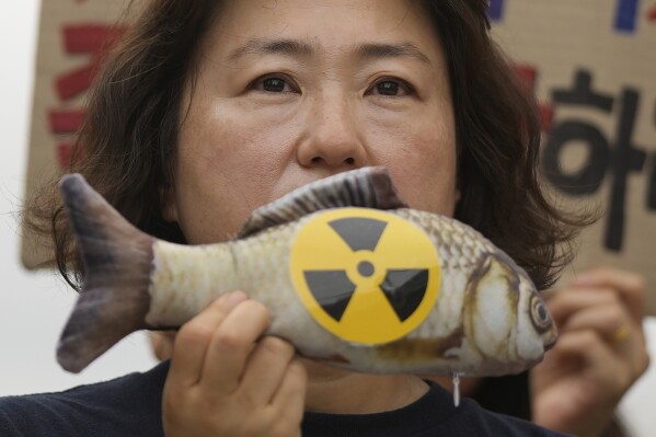 A member of environmental group holds a mock fish during a rally to demand the stop of the Japanese government's decision to release treated radioactive water into the sea from the damaged Fukushima nuclear power plant, in Seoul, South Korea, Thursday, Aug. 24, 2023. (AP Photo/Lee Jin-man)