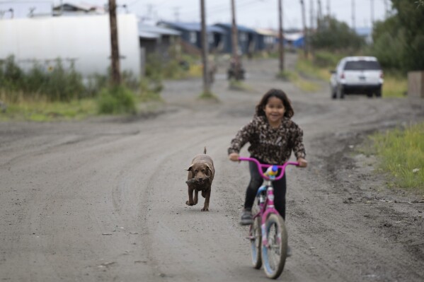 A dog runs behind a child along Main Street, Friday, Aug. 18, 2023, in Akiachak, Alaska. Many dogs in the village are kept outside homes and used for pulling sleds during wintertime. (AP Photo/Tom Brenner)