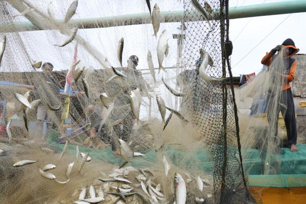 Background net fishing port catch hi-res stock photography and