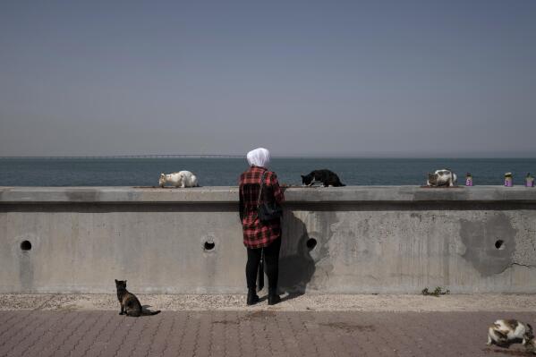 A woman feeds stray cats at the marina in Kuwait City, Feb. 11, 2022. Last summer, birds dropped dead from the sky and shellfish baked to death in the bay. Yet Kuwait stayed silent as the rest of the region’s wealthy petrostates joined a chorus of nations setting climate goals ahead of last fall’s U.N. climate summit in Glasgow. (AP Photo/Maya Alleruzzo)