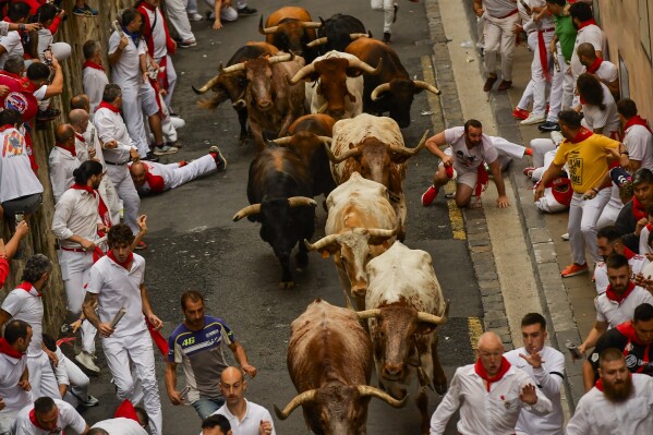 La Palmosilla's fighting bulls run among revellers during the first day of the running of the bulls during the San Fermin fiestas in Pamplona, Spain, Friday, July 7, 2023. (AP Photo/Alvaro Barrientos)