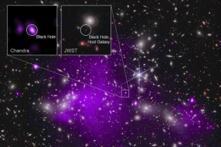 Esta imagen comentada proporcionada por la NASA el lunes 6 de noviembre de 2023 muestra una vista compuesta de datos del Observatorio de rayos X Chandra de la NASA y el Telescopio Espacial James Webb que indican un agujero negro en crecimiento solo 470 millones de años después del Big Bang. Es el agujero negro más antiguo descubierto hasta ahora. (NASA vía AP)