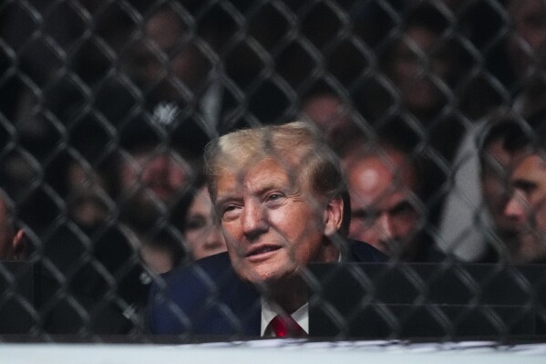FILE - Former President Donald Trump waits for the start of the lightweight bout between Matt Frevola and Benoit Saint Denis, of France, at the UFC 295 mixed martial arts event Saturday, Nov. 11, 2023, in New York. Trump has spent less time campaigning in early-voting states than many of his Republican primary rivals. But his campaign has been bolstering his schedule with appearances at major sporting events, including this weekend’s Edwards vs. Covington UFC fight in Las Vegas. (AP Photo/Frank Franklin II, File)