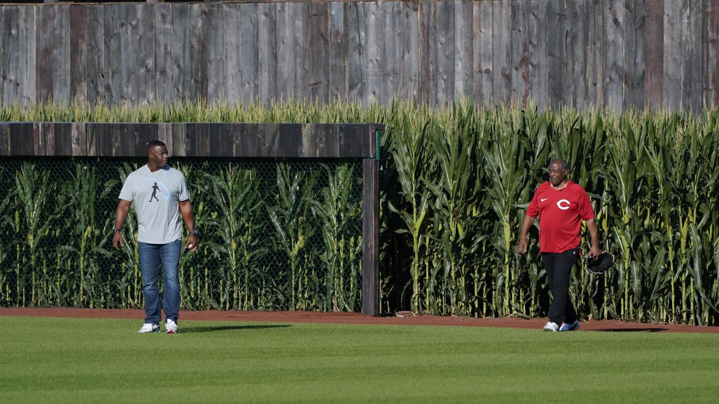 Video of Man Checking Phone During Field of Dreams Homer Watched