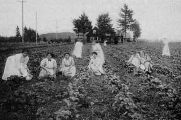 This undated image provided by the Alaska State Library shows Alaska Natives among strawberries at Morningside Hospital in Portland, Ore. (Alaska State Library, Historical Collections via AP)