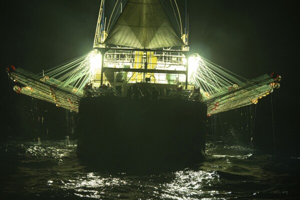 FILE - In this July 2021 photo provided by Sea Shepherd, the Chang Tai 802, a Chinese-flagged ship, fishes for squid at night on the high seas off the west coast of South America. Hazardous work conditions sometimes akin to slavery have been detected on nearly 500 industrial fishing vessels around the world, including this one, but identifying those responsible for abuses at sea is hampered by a lack of transparency and regulatory oversight, according to research by the Financial Transparency Coalition released on Wednesday, Nov. 15, 2023. (Isaac Haslam/Sea Shepherd via AP, File)