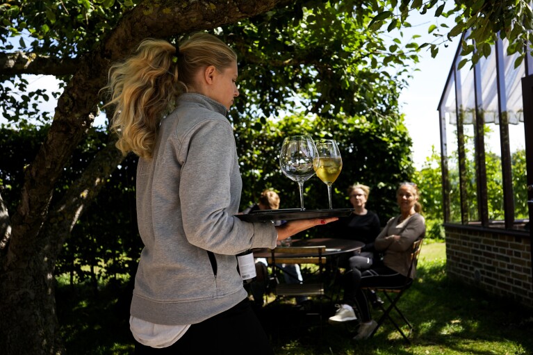A waiter carries wine for visitors during a tasting at Kullabergs Vingård, in Nyhamnsläge, Sweden, Tuesday, July 25, 2023.  (AP Photo/Pavel Golovkin)