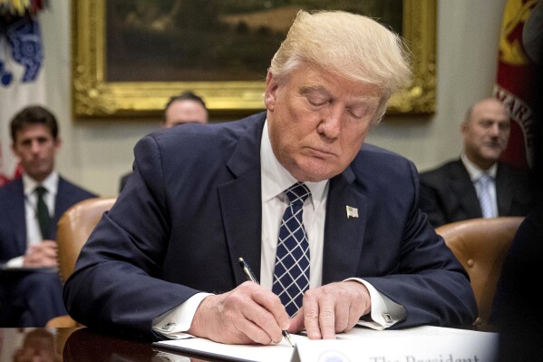 What are executive orders and how is Trump using them? 