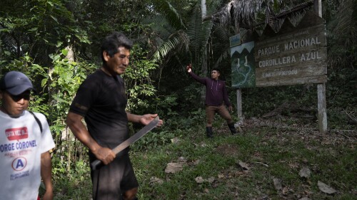 Residents of Puerto Franco community walk near the limit of Cordillera Azul National Park in Peru's Amazon, Monday, Oct. 3, 2022. A landmark ruling that an Indigenous community in the Peruvian Amazon could reclaim ancestral rainforests was tossed out by an appeals court in a move some legal experts called irregular. (AP Photo/Martin Mejia)