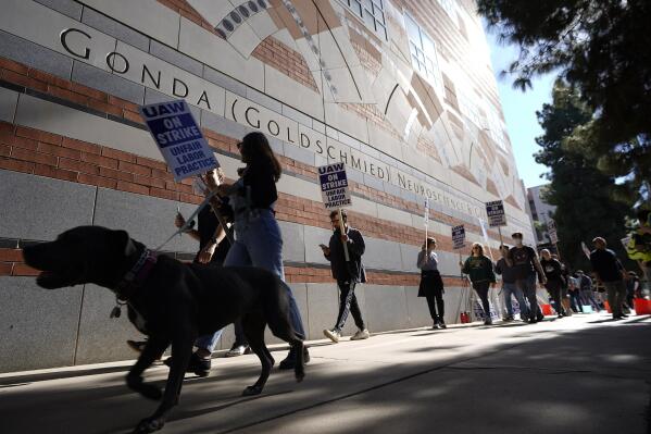 People participate in a protest outside of the University of California Los Angeles, UCLA campus in Los Angeles, Monday, Nov. 14, 2022. Nearly 48,000 unionized academic workers at all 10 University of California campuses have walked off the job Monday. (AP Photo/Damian Dovarganes)