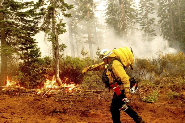 FILE - Fire Battalion Chief Craig Newell carries a hose while battling the North Complex Fire in Plumas National Forest, Calif., on Sept. 14, 2020. The Biden administration is trying to turn the tide on worsening wildfires in the U.S. West through a multi-billion dollar cleanup of forests choked with dead trees and undergrowth. (AP Photo/Noah Berger, File)