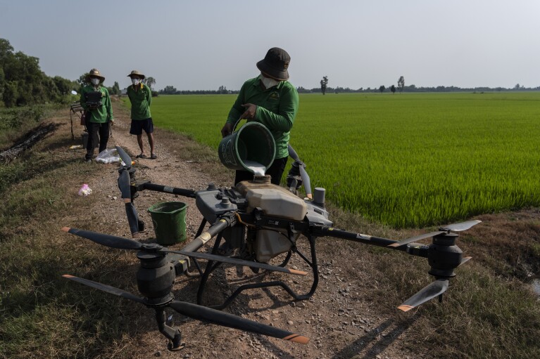 2024 年 1 月 23 日星期二，一名工人将化肥装入大型无人机上的储罐中，准备向越南南部湄公河三角洲隆安省 Vo Van Van 的稻田喷洒肥料。使用无人机施肥，减少用水量这是范正在尝试的新技术，越南希望这将有助于解决水稻种植的核心悖论：这种挑剔的作物不仅容易受到气候变化的影响，而且对气候变化也有独特的贡献。  （美联社照片/Jae C. Hong）