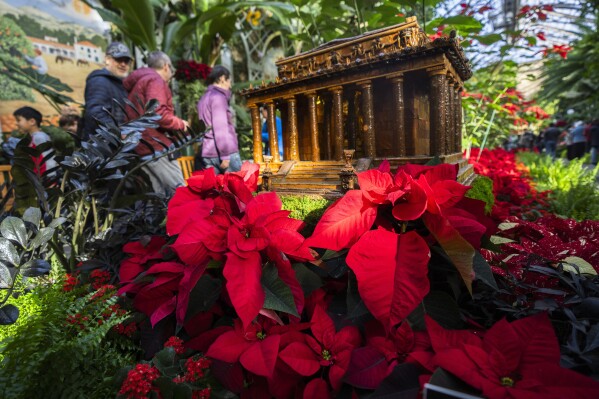 Visitors look at a replica of the Lincoln Memorial adorned with a variety of poinsettias on display at the Smithsonian's U.S. Botanical Garden in Washington on Saturday, Dec. 16, 2023.  (AP Photo/Manuel Balse Seneta)