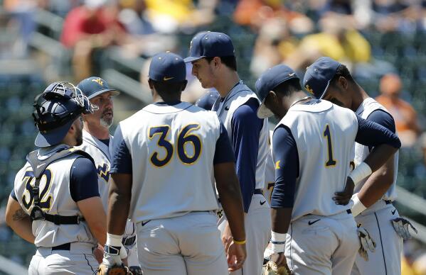 Michigan-based documentary on women's pro baseball confirms there