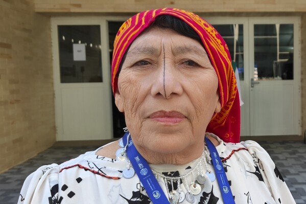 Briseida Iglesias, an indigenous tribes leader from Panama, poses for a photo at the COP28 U.N. Climate Summit, Monday, Dec. 4, 2023, in Dubai, United Arab Emirates. Iglesias, of Panama, spearheaded a woman-led movement, the Bundorgan Women Network, that came up with a way to cultivate eucalyptus plants to reduce soil salinity — a major problem in coastal areas where seas are rising now because of planetary warming. (Uzmi Athar/Press Trust of India via AP)