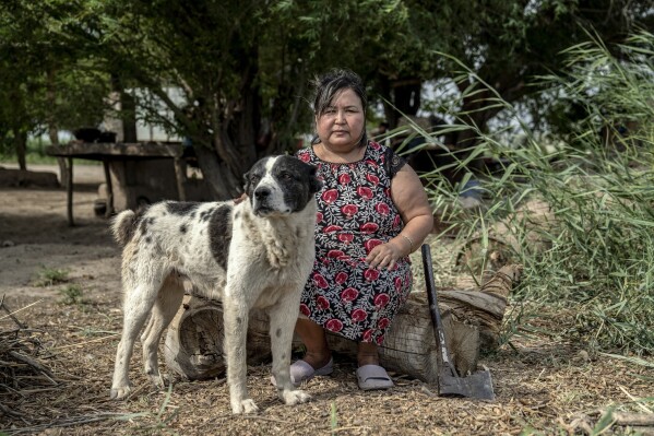 Nafisa Bayniyazova posa para uma foto com seu cachorro Alabai, em sua fazenda perto de Muynak, Uzbequistão, quarta-feira, 28 de junho de 2023. Bayniyazova e outros moradores dizem que estão enfrentando uma catástrofe que não podem vencer: as mudanças climáticas, que estão acelerando o desaparecimento do Mar de Aral, que durou décadas, outrora a força vital para os milhares que vivem ao seu redor. (Foto AP/Ebrahim Noroozi)