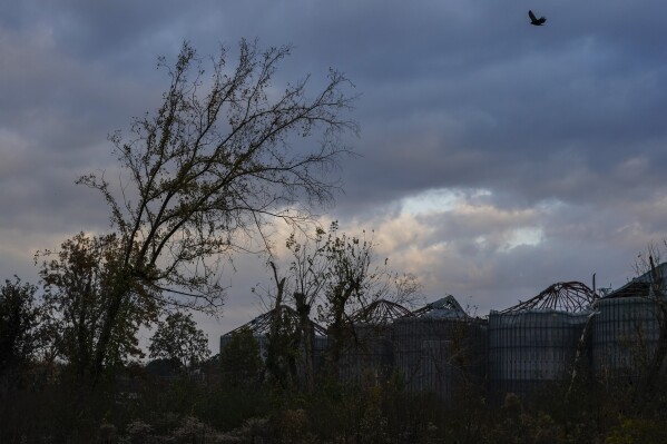 Grain elevators damaged by the December 2021 tornado are seen Thursday, November 9, 2023, at Mayfield Green in Mayfield, Kentucky. Many local farmers relied on these granaries to store their crops. (AP Photo/Joshua A. Bickle)