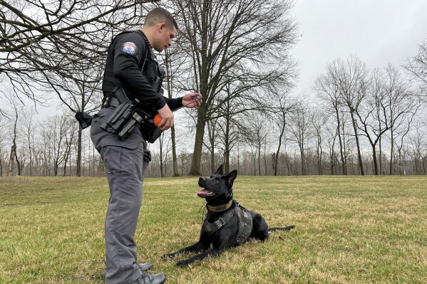 Whitehall Police Officer Matthew Perez trains his dog Rico at a park Wednesday, March 6, 2024, in Whitehall, Ohio. Two Ohio lawmakers are looking to ease the looming financial burden faced by law enforcement agencies in the state who will have to replace marijuana-sniffing dogs after voters last year approved a plan to legalize recreational marijuana use. (AP Photo/Patrick Orsagos)