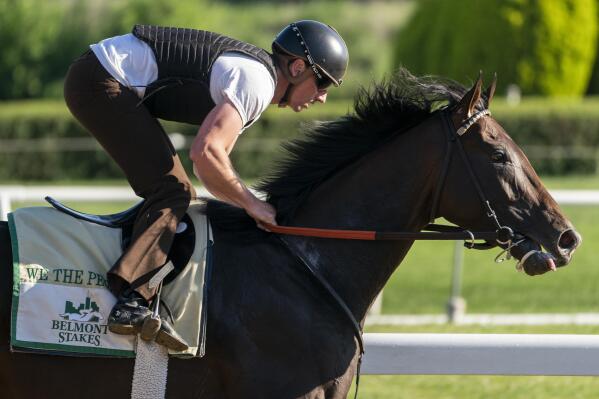 We the People trains before the 154th running of the Belmont Stakes horse race, Friday, June 10, 2022, in Elmont, N.Y. (AP Photo/John Minchillo)