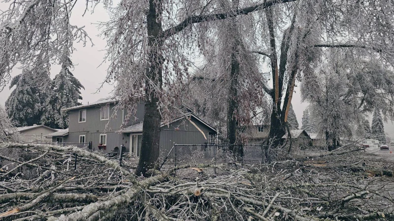 Bomb Cyclone Aftermath. Image credit AP Fallen branches and ice covered trees are seen on Tuesday, Jan. 16, 2024, in Creswell, Ore. Winter turned its icy glare on the U.S. this week, blanketing cities and states from east to west with snow and sending temperatures into an Arctic spiral. (Jamie Kenworthy via AP)
