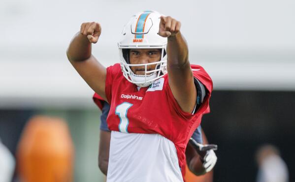 Dolphins hoping new additions will help end playoff drought