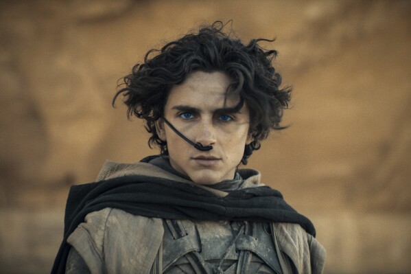 This image released by Warner Bros. Pictures shows Timothee Chalamet in a scene from 