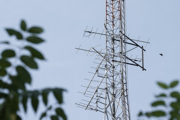 A bird flies by a radio tower that is part of the Motus Wildlife Tracking System, Tuesday, Aug. 22, 2023, in Waynesville, Ohio. When a bird fitted with a tiny transmitter flies within 12 miles (20 kilometers) of a receiver — mounted on towers, poles and other structures — information is stored on a computer connected to a cell network accessible to researchers. (AP Photo/Joshua A. Bickel)