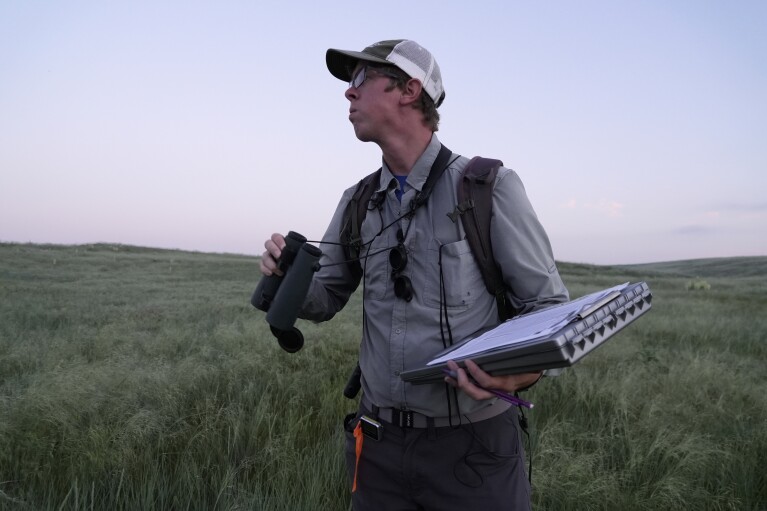 Daniel Horton, field biologist with the Bird Conservancy of the Rockies, conducts a grassland bird survey Tuesday, June 20, 2023, in Potter, Neb. (AP Photo/Brittany Peterson)