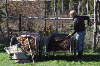 This undated photo shows mulches ready for spreading in New Paltz, N.Y. Compost and wood chips are among the many organic mulches that provide multiple benefits to plants and the soil when spread on top of the ground. (Lee Reich via AP)