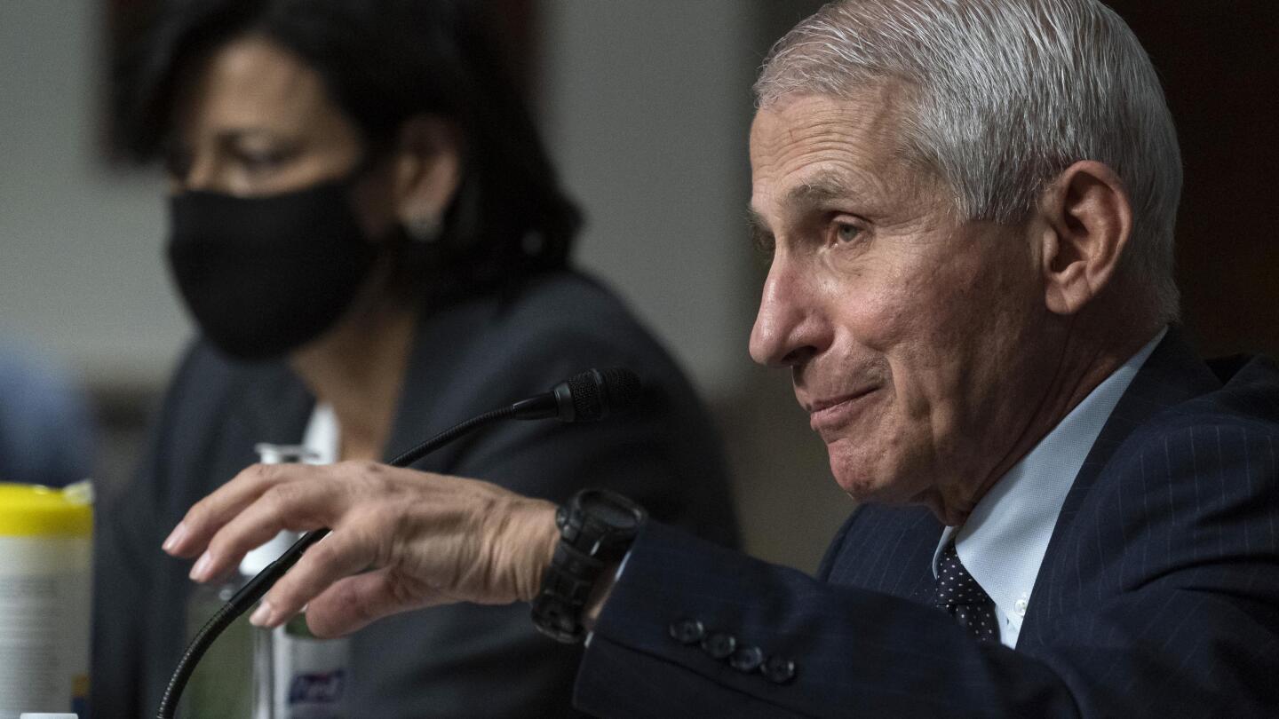 Fauci fires back at Cruz over COVID claims about Chinese lab