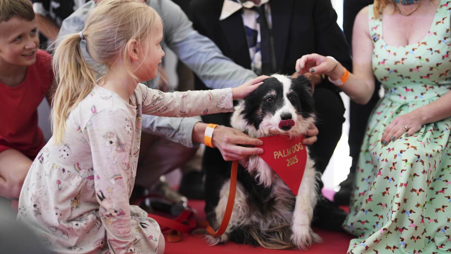 Panda wins the 2025 Palm Dog award at Cannes — and a look-alike accepts