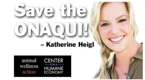 Actress Katherine Heigl joins Animal Wellness Action and the Center for a Humane Economy in the campaign to save the Onaqui wild horses in Utah. Visit: www.SaveTheOnaqui.org.