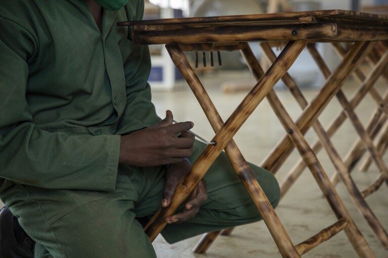 A worker tightens a bolt on a chair made out of bamboo at a factory in Wakiso, Uganda on March 13, 2024. Bamboo farming is on the rise in Uganda, where the hardy and fast-growing crop is seen by the government as having real growth potential. Businesses can turn it into furniture and other products. (AP Photo/Dipak Moses)