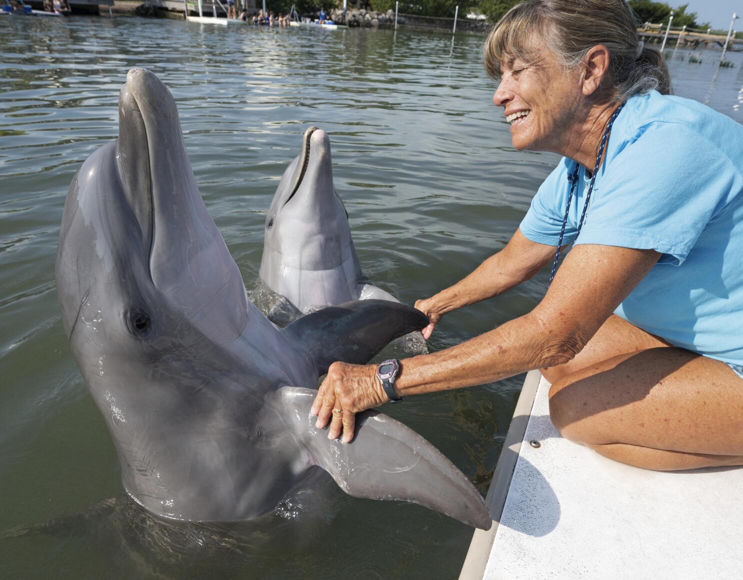 Dolphin Research Center - Dolphin Research Center