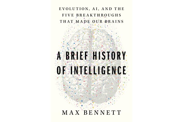 This cover image released by Mariner Books shows "A Brief History of Intelligence: Evolution, AI, and the Five Breakthroughs That Made Our Brains" by Max Bennett. (Mariner Books via 番茄直播)