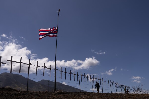 Crosses honoring the victims killed in a recent wildfire hang on a fence along the Lahaina Bypass as a Hawaiian flag flutters in the wind in Lahaina, Hawaii, Tuesday, Aug. 22, 2023. Two weeks after the deadliest U.S. wildfire in more than a century swept through the Maui community of Lahaina, authorities say anywhere between 500 and 1,000 people remain unaccounted for. (AP Photo/Jae C. Hong)