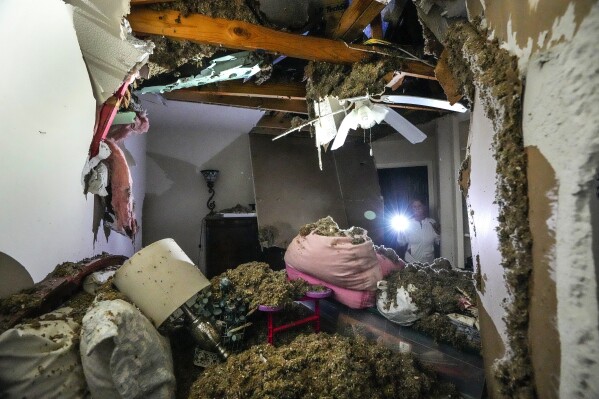Monica Pease surveys the damage to her home after several trees fell on it during a severe storm, Thursday, May 2, 2024, in Spring, Texas. (Brett Coomer/Houston Chronicle via AP)