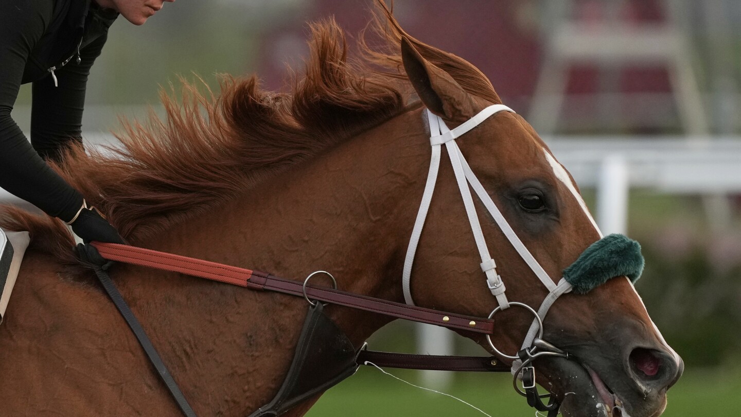 What makes a Kentucky Derby champion? Big hearts, immense lungs and powerful legs