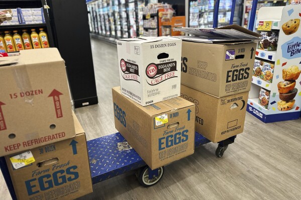 Boxes of eggs are seen at a Jewel-Osco grocery store in Chicago, Saturday, April 19, 2025. (AP Photo/Erin Hooley)