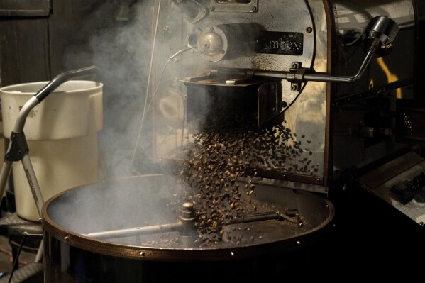 Coffee beans fall into the cooling tray of a roasting machine at Fuego Coffee Roasters' roasting facility, Friday, March 21, 2025, in Rochester, N.Y. (Max Conway via AP)