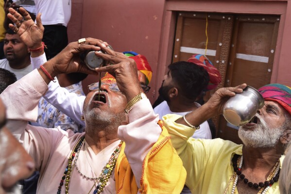 People drink Bhang, a beverage prepared with milk, dry fruits and cannabis, during Holi festivities in Bikaner, in the Indian state of Rajasthan, India, Thursday, March 21, 2024. Holi, the Hindu festival of colors that also heralds the coming of spring, is being celebrated across the country Monday. Bhang is a popular drink during Holi. (AP Photo/Dinesh Gupta)