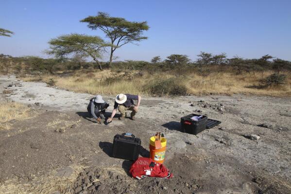 This photo shows Anjali Prabhat and Jeremy DeSilva, associate professor of anthropology at Dartmouth, excavating Site A footprints at Laetoli, Tanzania. Prehistoric footprints that have puzzled scientists since the 1970s are getting a second look: Were they left by extinct animals or by human ancestors? When famed paleontologist Mary Leakey first uncovered the footprints in Tanzania 40 years ago, the evidence was ambiguous. (Shirley Rubin/ Dartmouth College via AP)